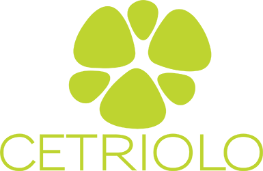 Cetriolo Agency